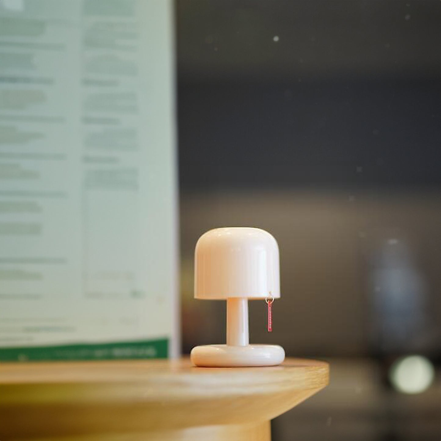 Mini Mushroom Lamp